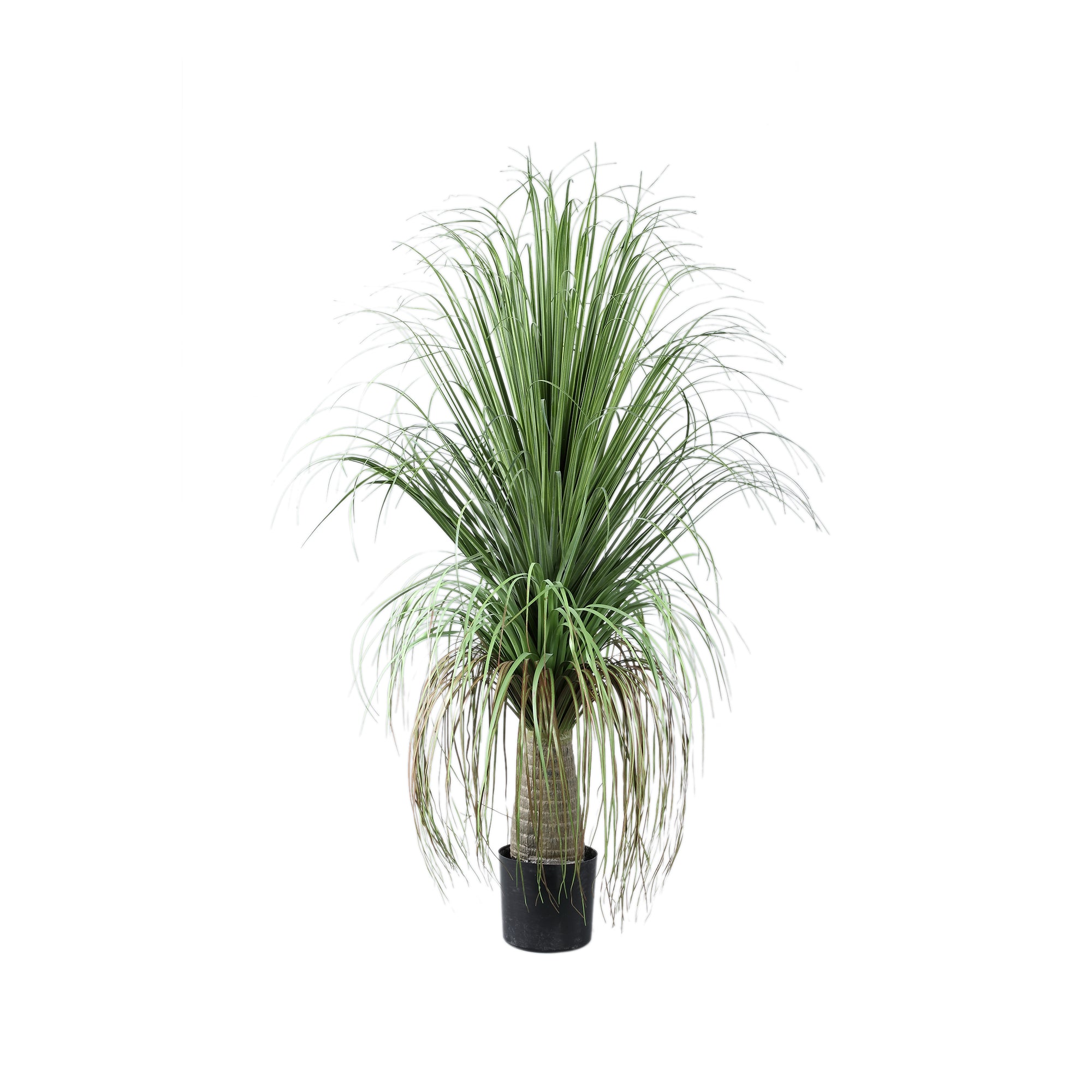 Leaves Plant Green onion grass on coconut tree B Vert — Plante artificielle — Plante artificielle design premium | Häus