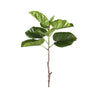 Feuille artificielle Ficus — Vert