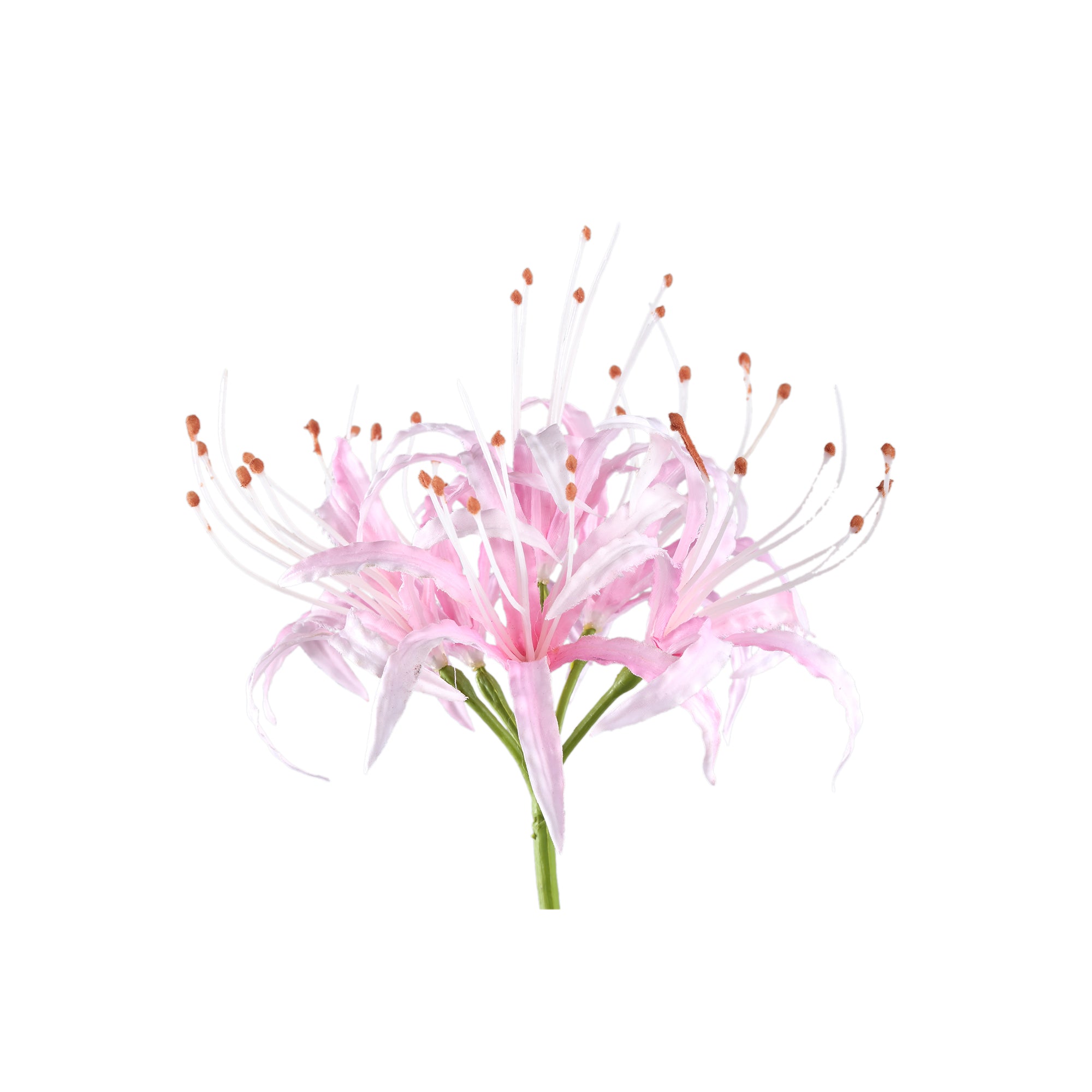 Lily Flower Pink spider lily Rose — Fleur artificielle — vue 2 | Häus