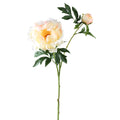 Fleur artificielle Pivoine — Sable