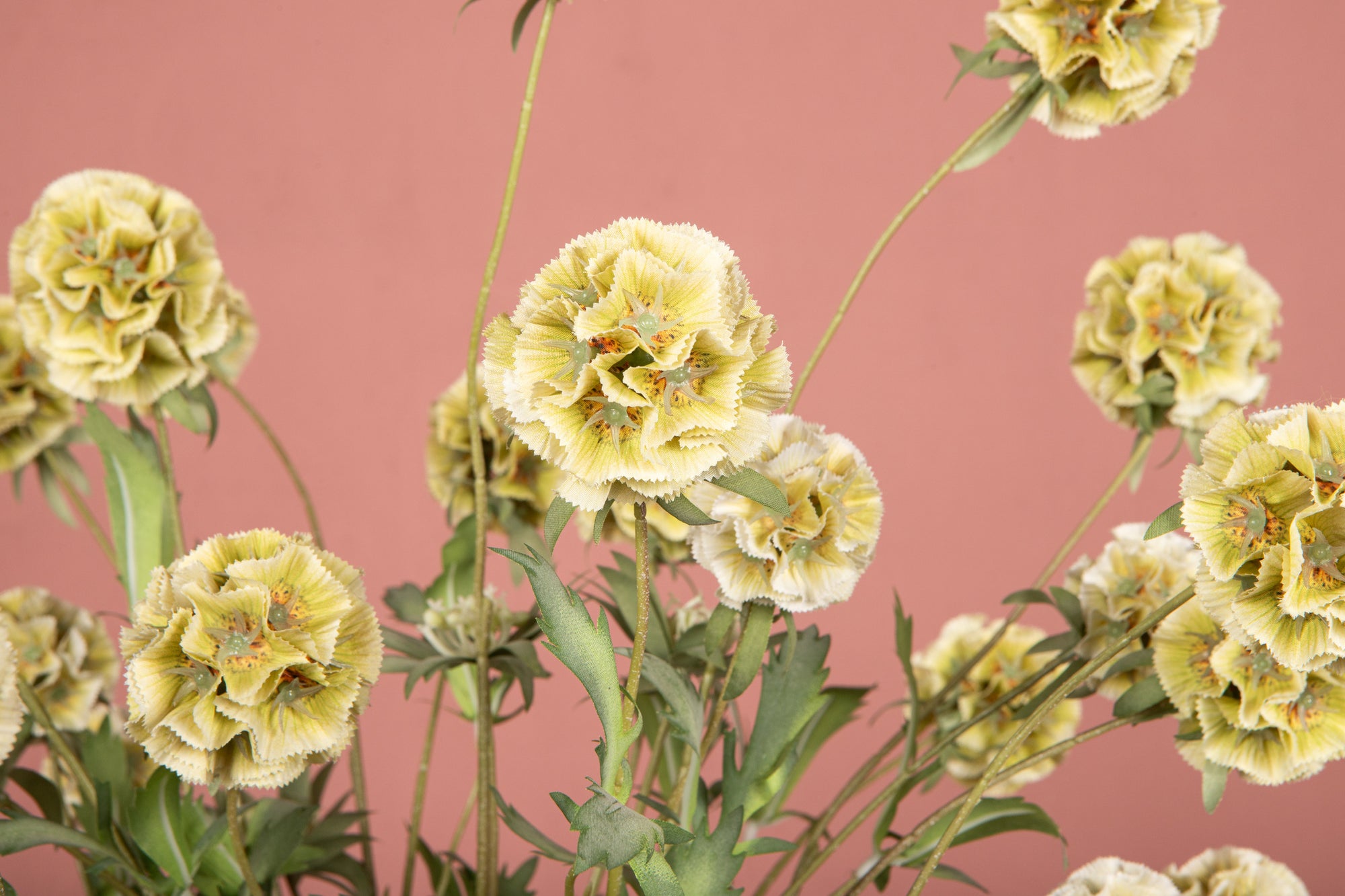 Garden Flower Green scabiosa spray Vert — Fleur artificielle — vue 3 | Häus