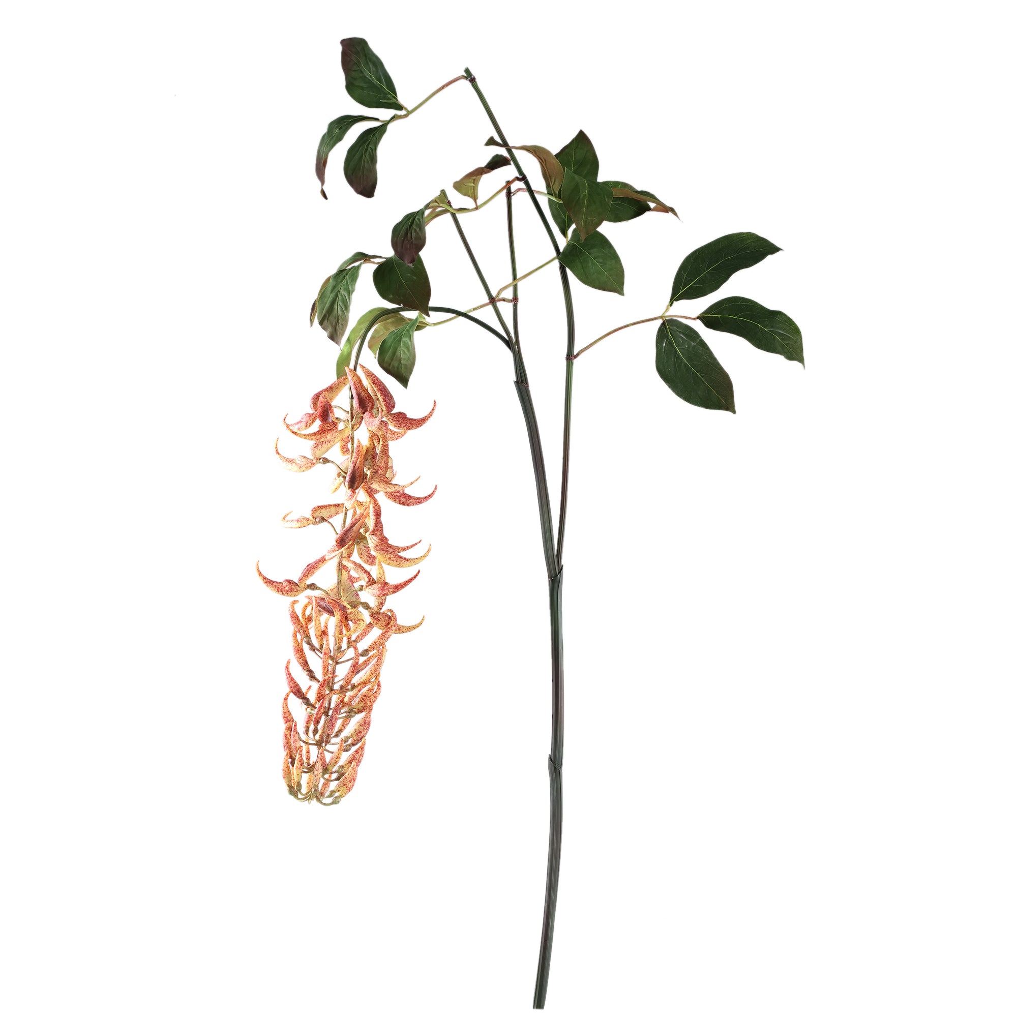 Leaves Plant Orange strongylondon spray Orange — Feuille artificielle — Feuille artificielle design premium | Häus