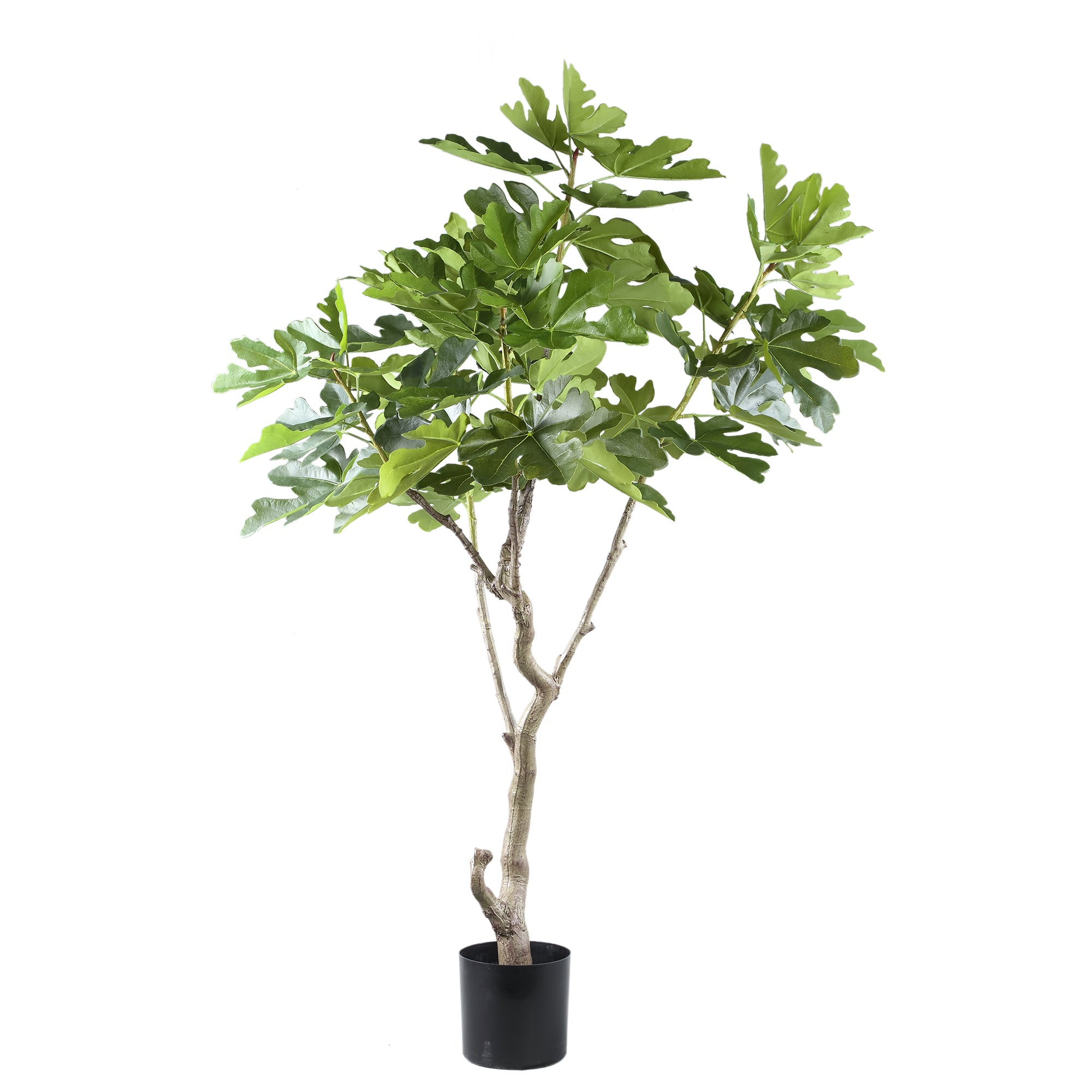 Tree Green fig tree in pot L Vert — Plante artificielle — Plante artificielle design premium | Häus