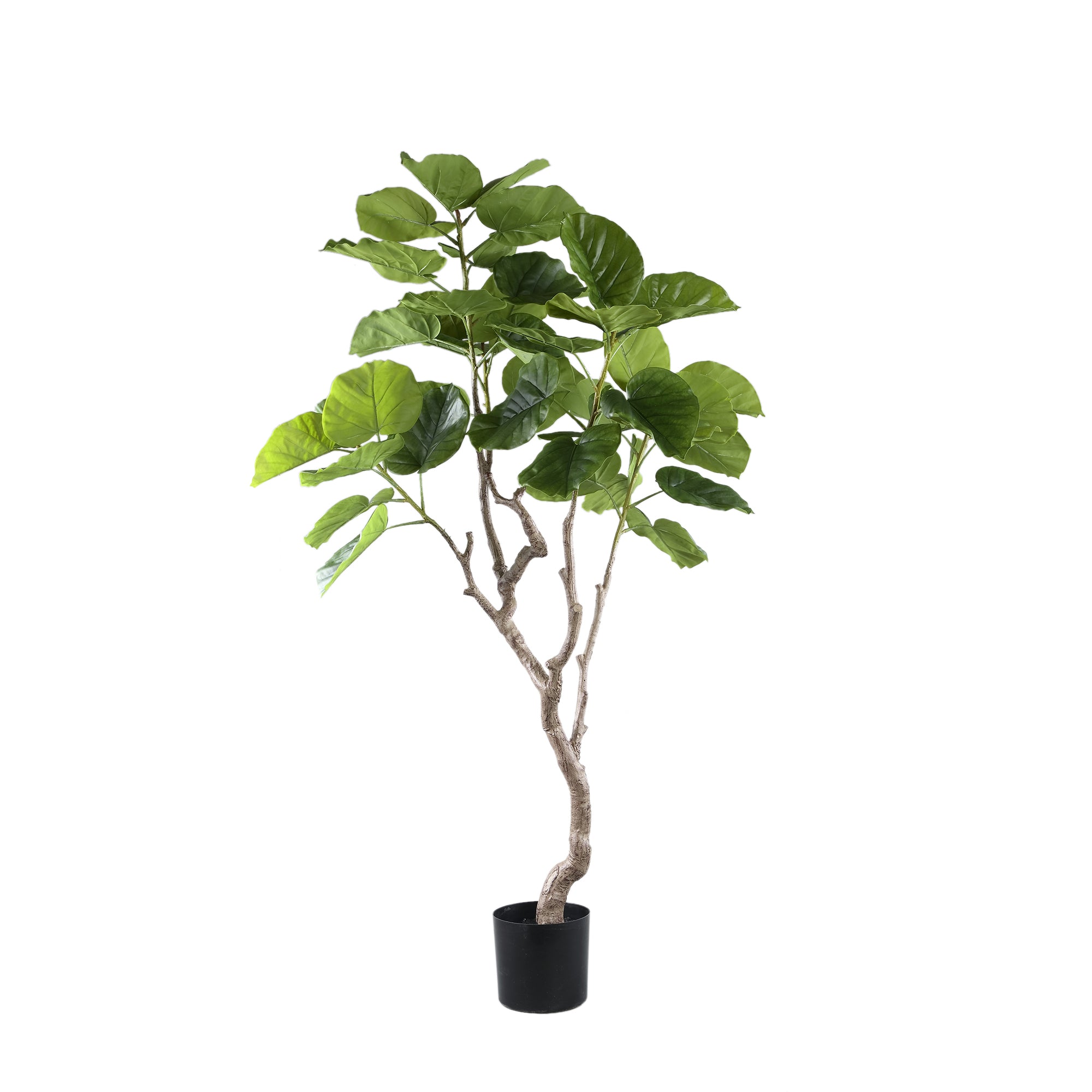 Tree Green ficus tree in pot M Vert — Plante artificielle — Plante artificielle design premium | Häus