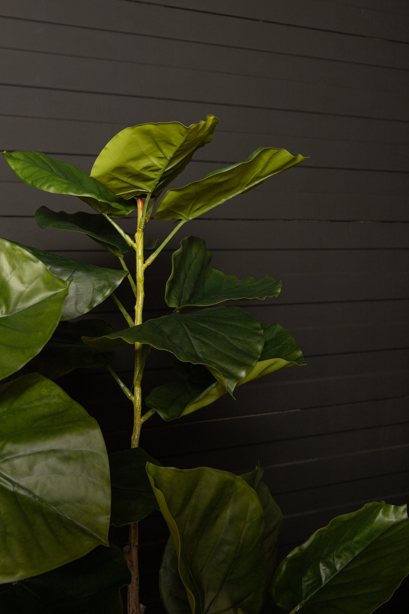 Tree Green ficus tree in pot S Vert — Plante artificielle — vue 3 | Häus