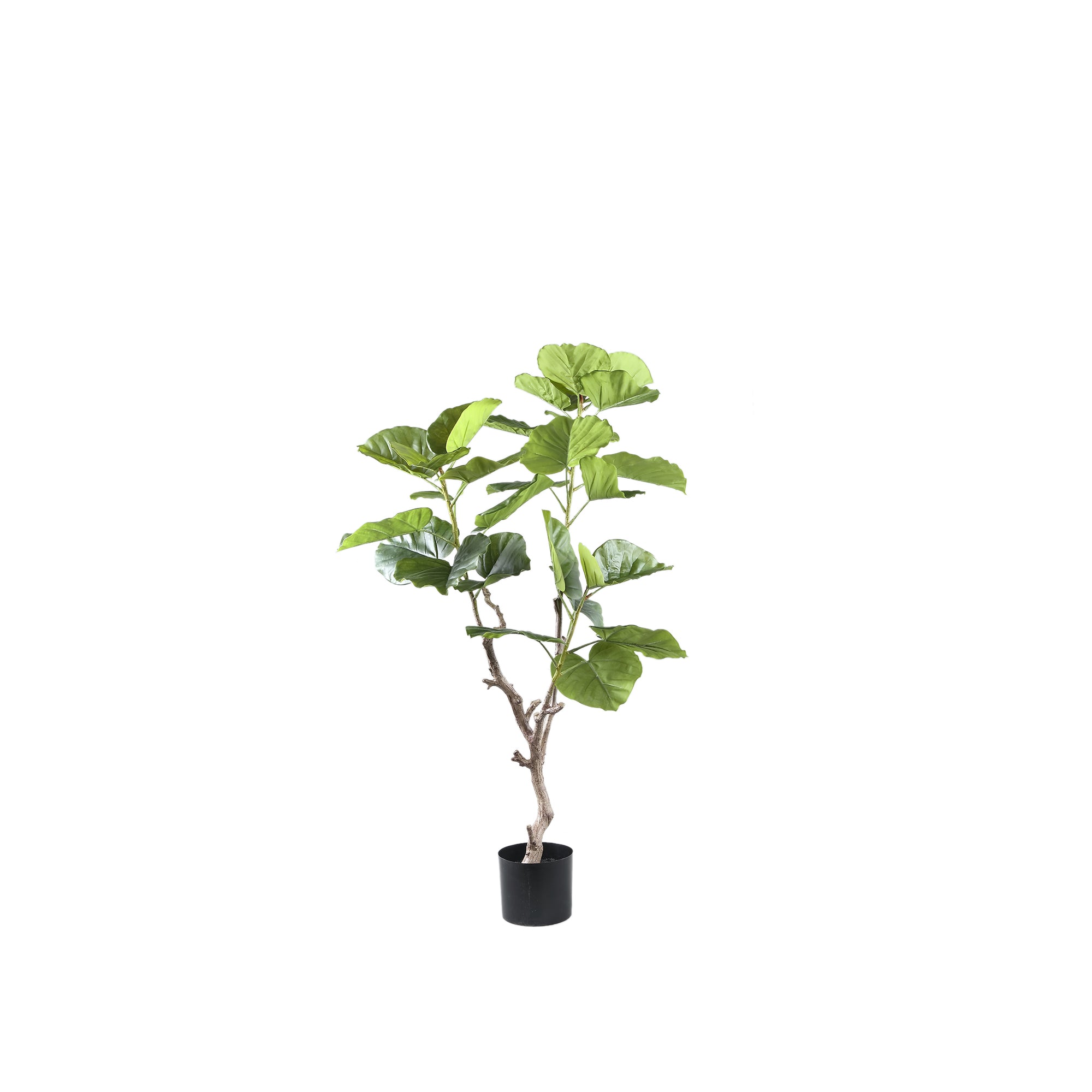 Tree Green ficus tree in pot S Vert — Plante artificielle — Plante artificielle design premium | Häus