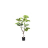 Tree Green ficus tree in pot S Vert — Plante artificielle — Plante artificielle design premium | Häus