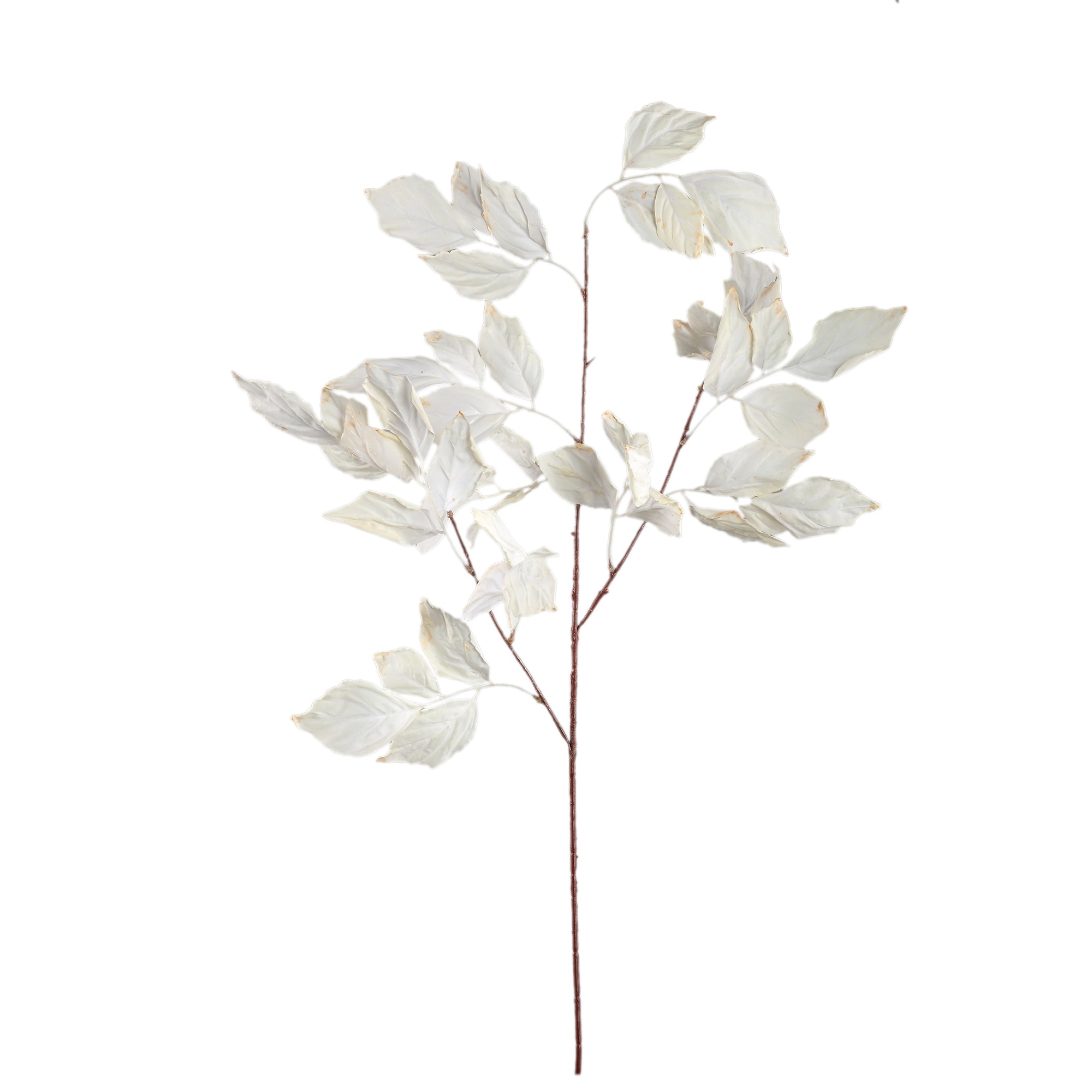 Leaves Plant Cream leaves spray Crème — Feuille artificielle — Feuille artificielle design premium | Häus