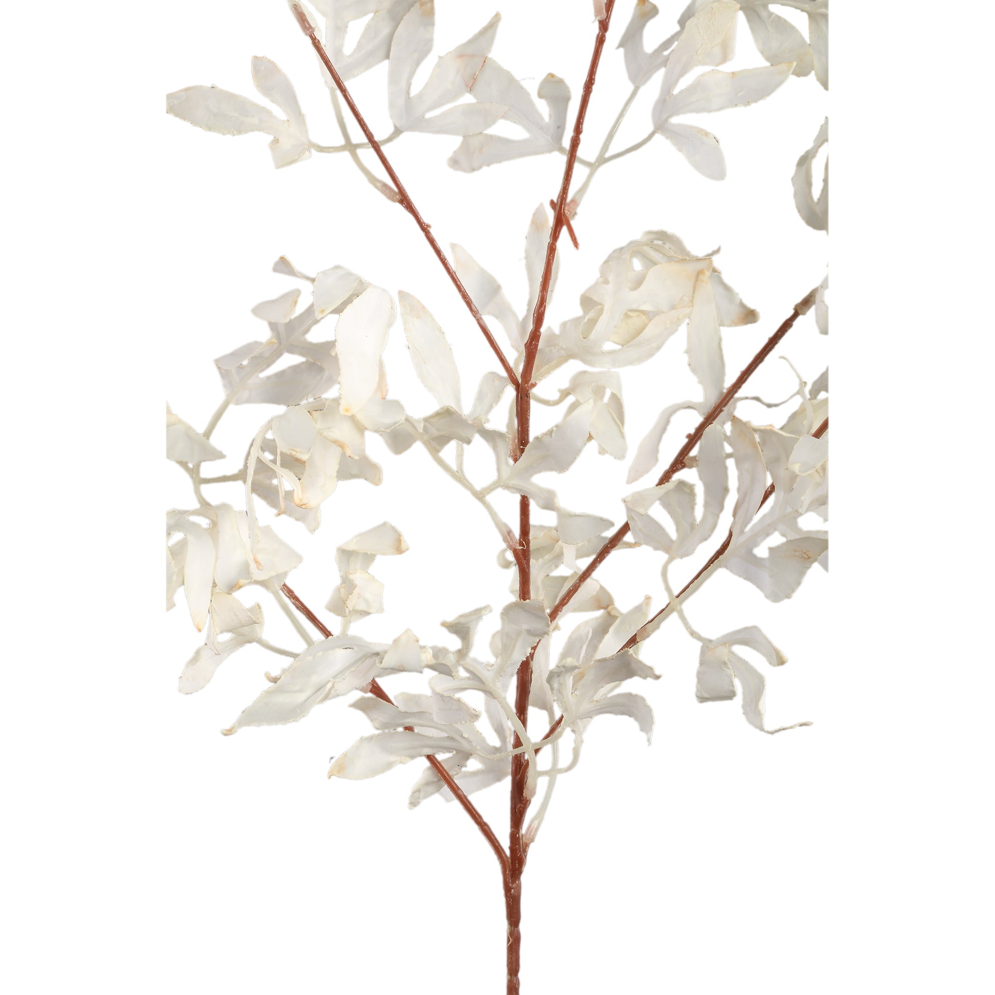Leaves Plant Cream bamboo leaf spray Crème — Feuille artificielle — vue 3 | Häus