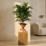 Pot Lady — Photo lifestyle