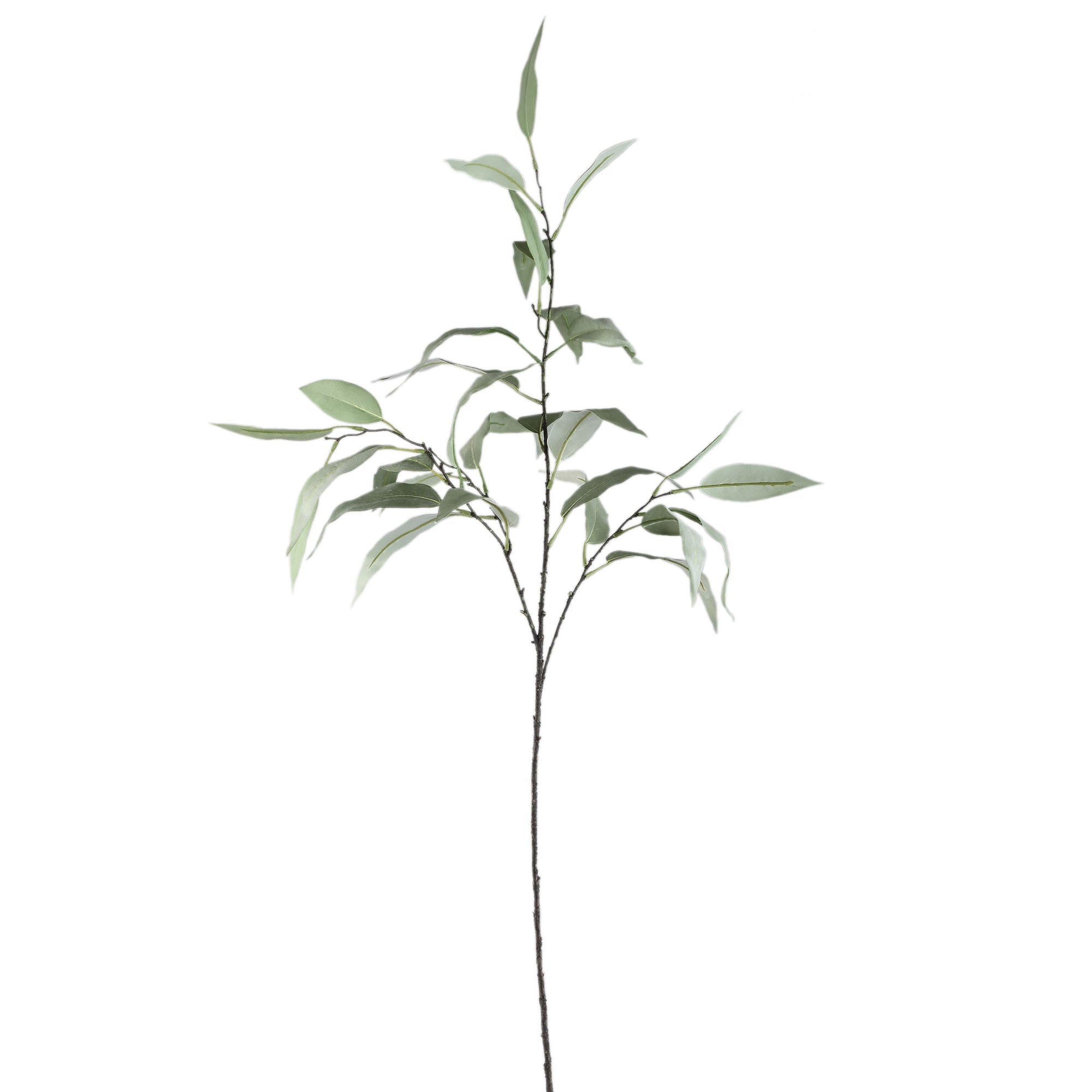 Leaves Plant Green long eucalyptus spray Vert — Feuille artificielle — Feuille artificielle design premium | Häus