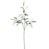 Leaves Plant Green long eucalyptus spray Vert — Feuille artificielle — Feuille artificielle design premium | Häus