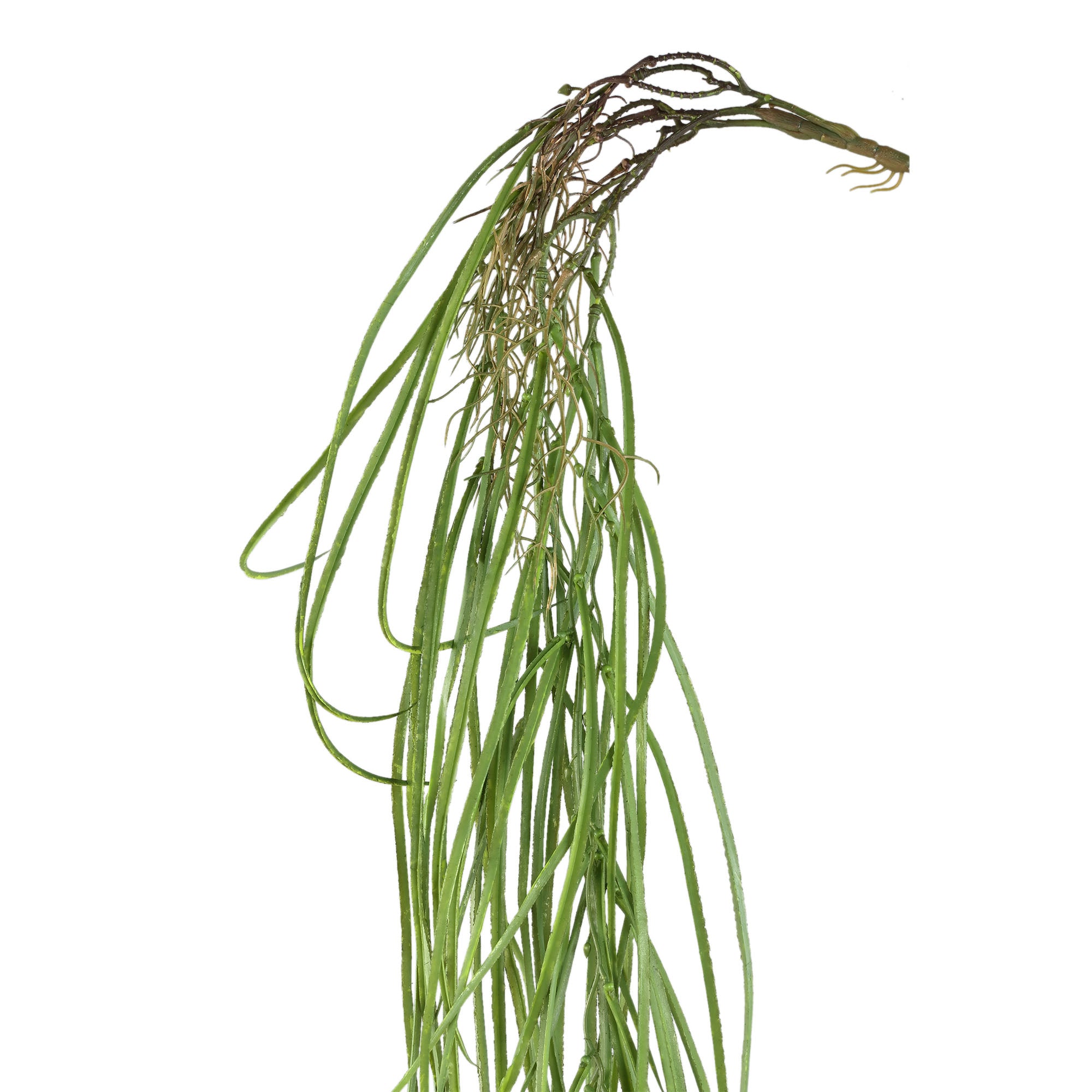 Leaves Plant Green hanging grass Vert — Feuille artificielle — vue 2 | Häus