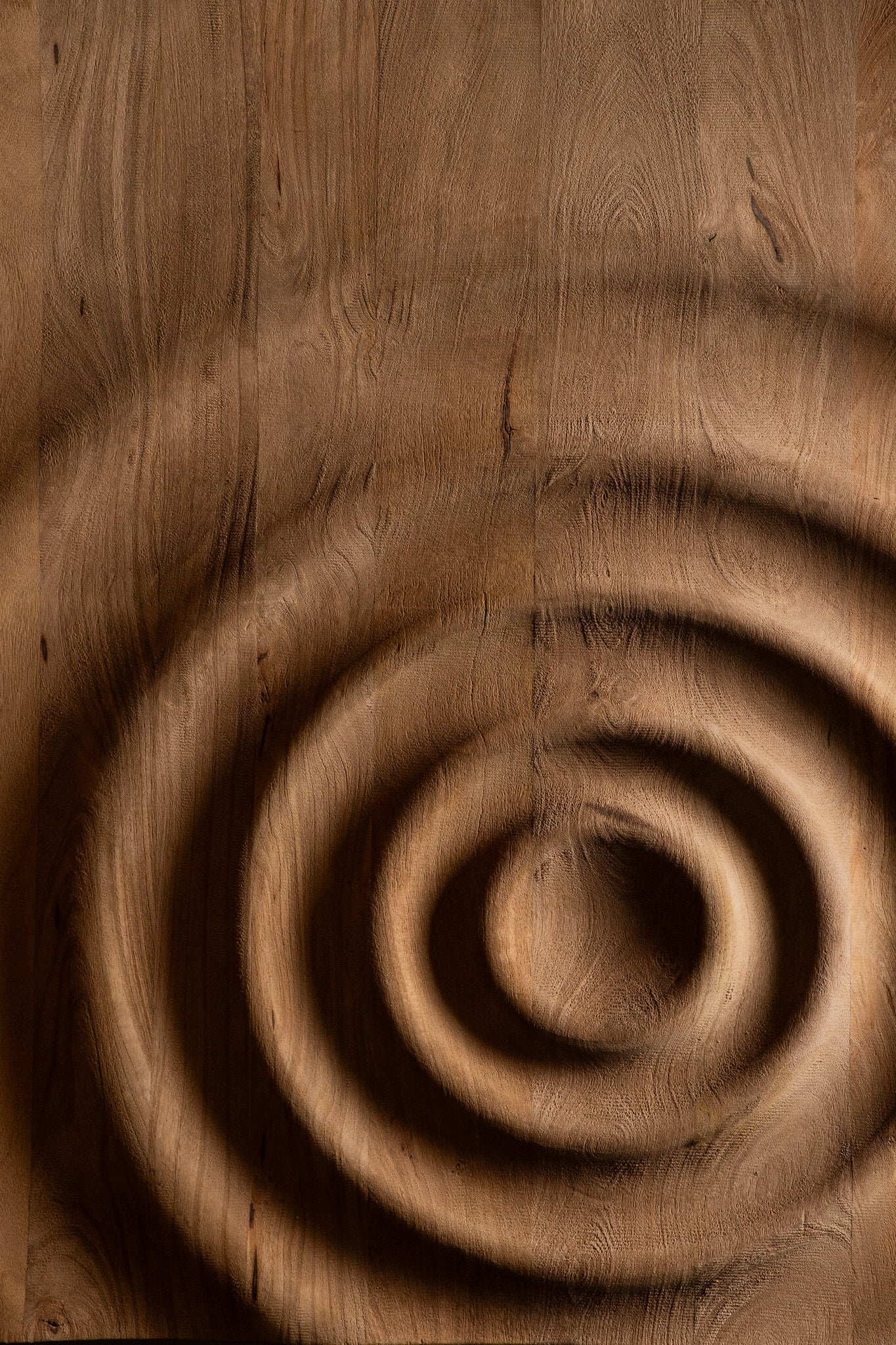 Mattin Natural mango wood circle wall panel rect