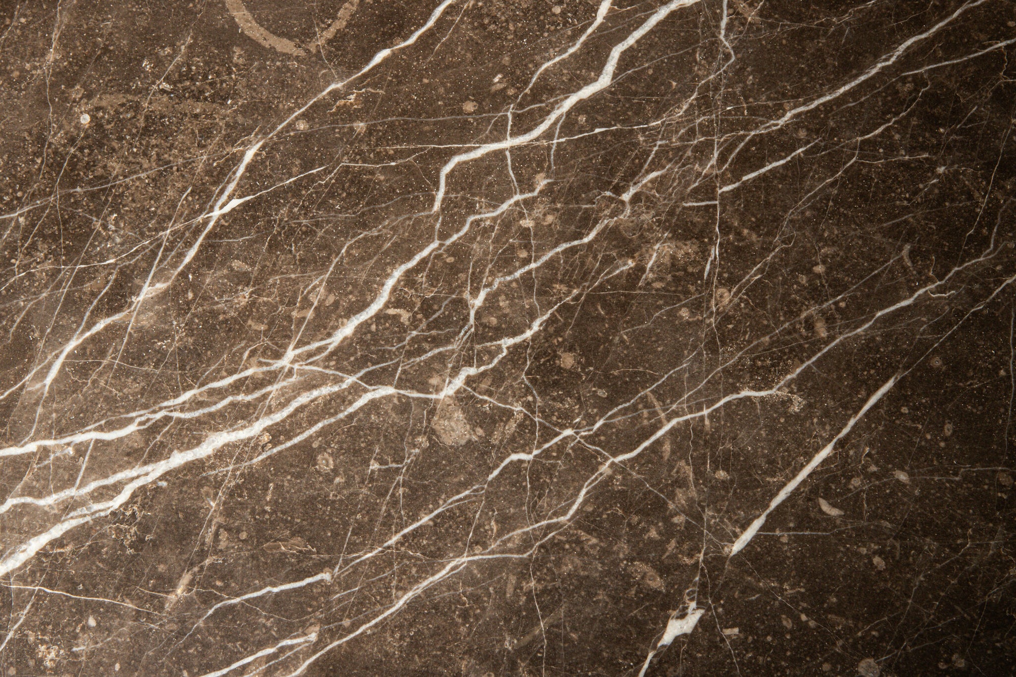 Skippy coffee table brown marble - Photo 5