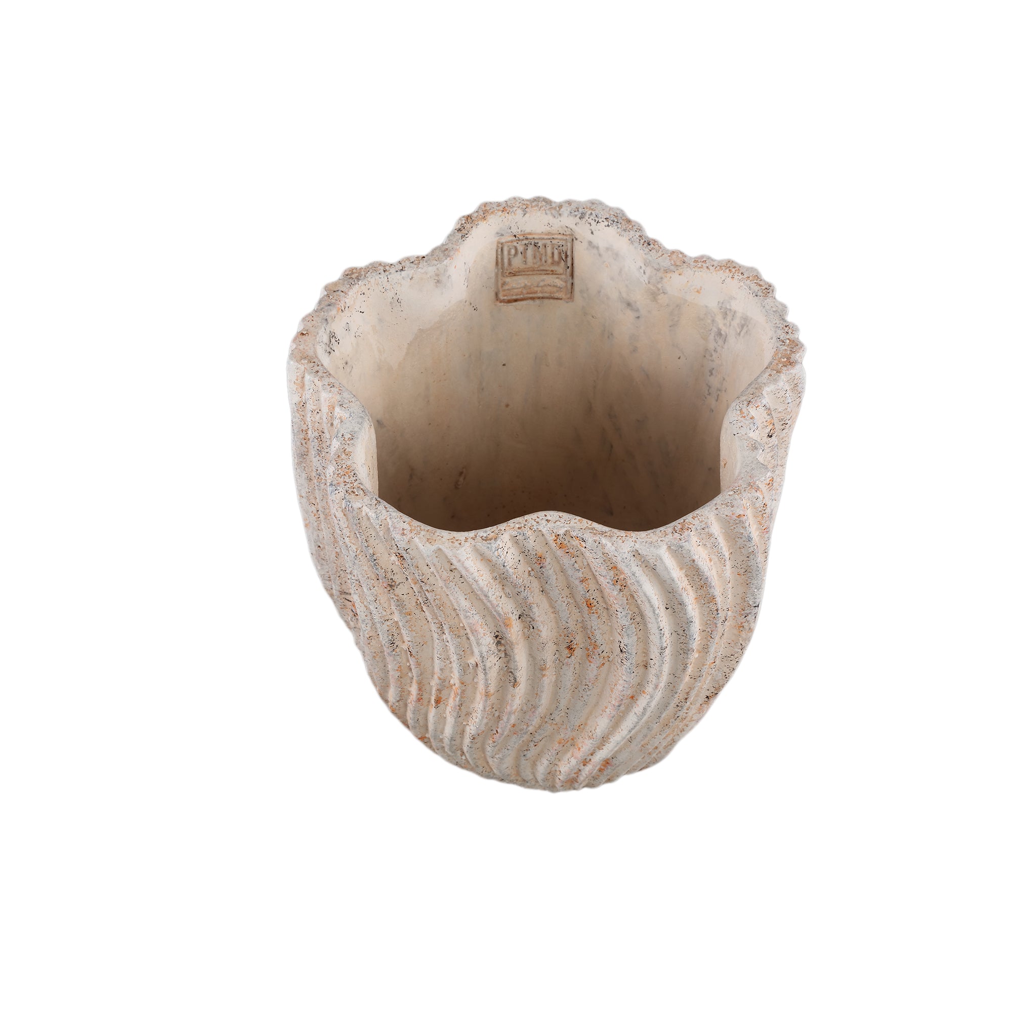 Robbien Pot en ciment - L (20x20x20 cm)