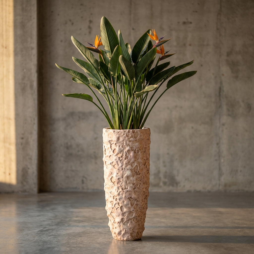 Romas Pot en ciment - L (24x24x55 cm)