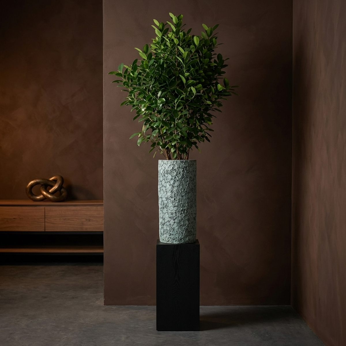 Pot Darrel — Ciment — Photo lifestyle