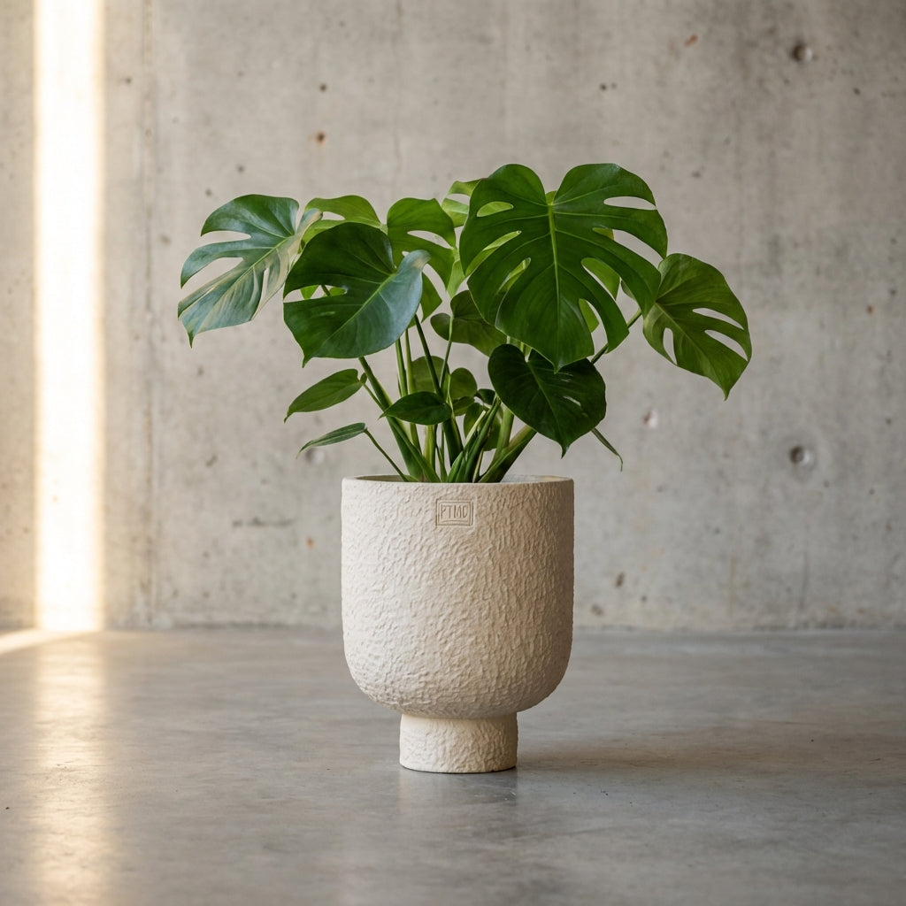 Monder Pot en ciment - Crème