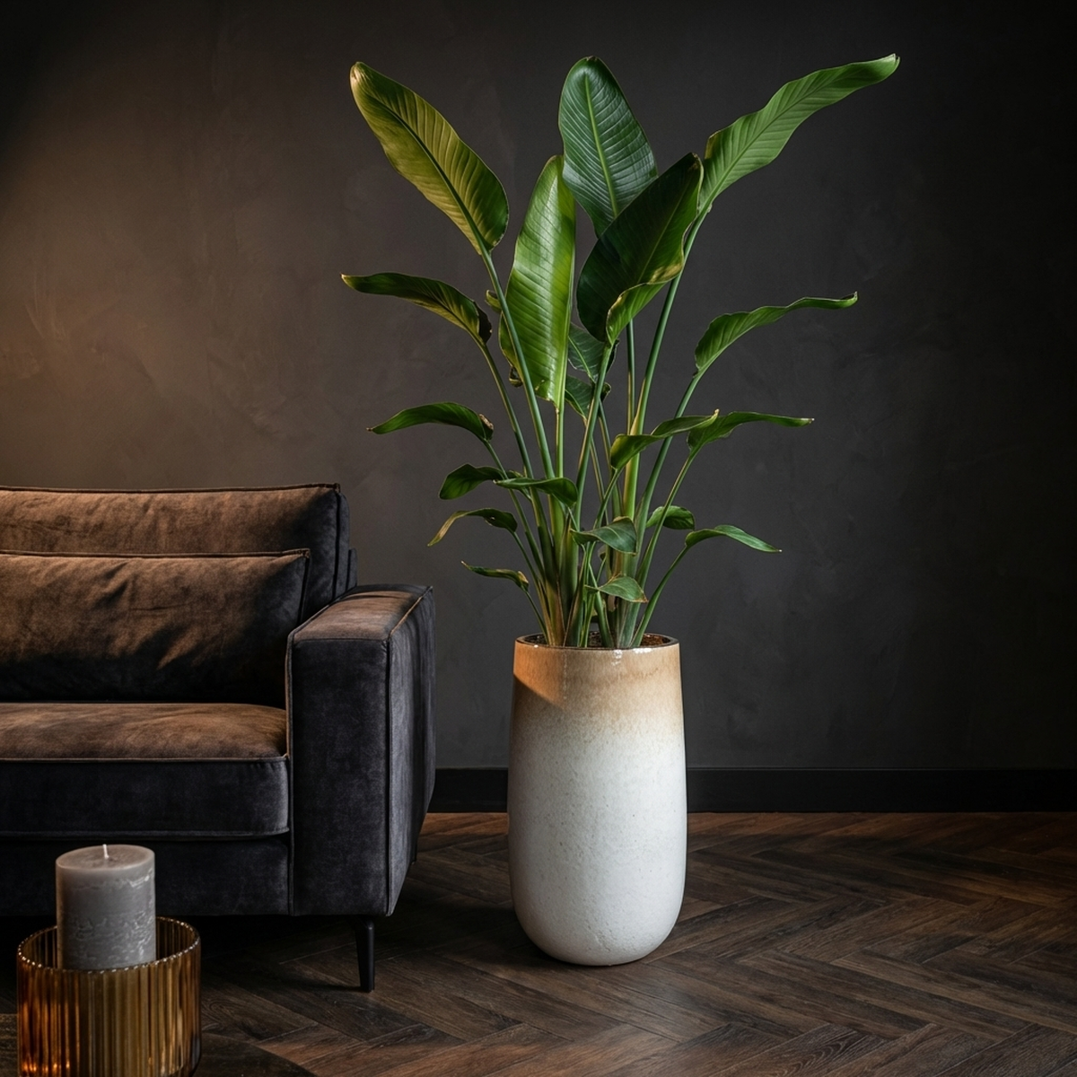 Pot Raya — Céramique — Photo lifestyle