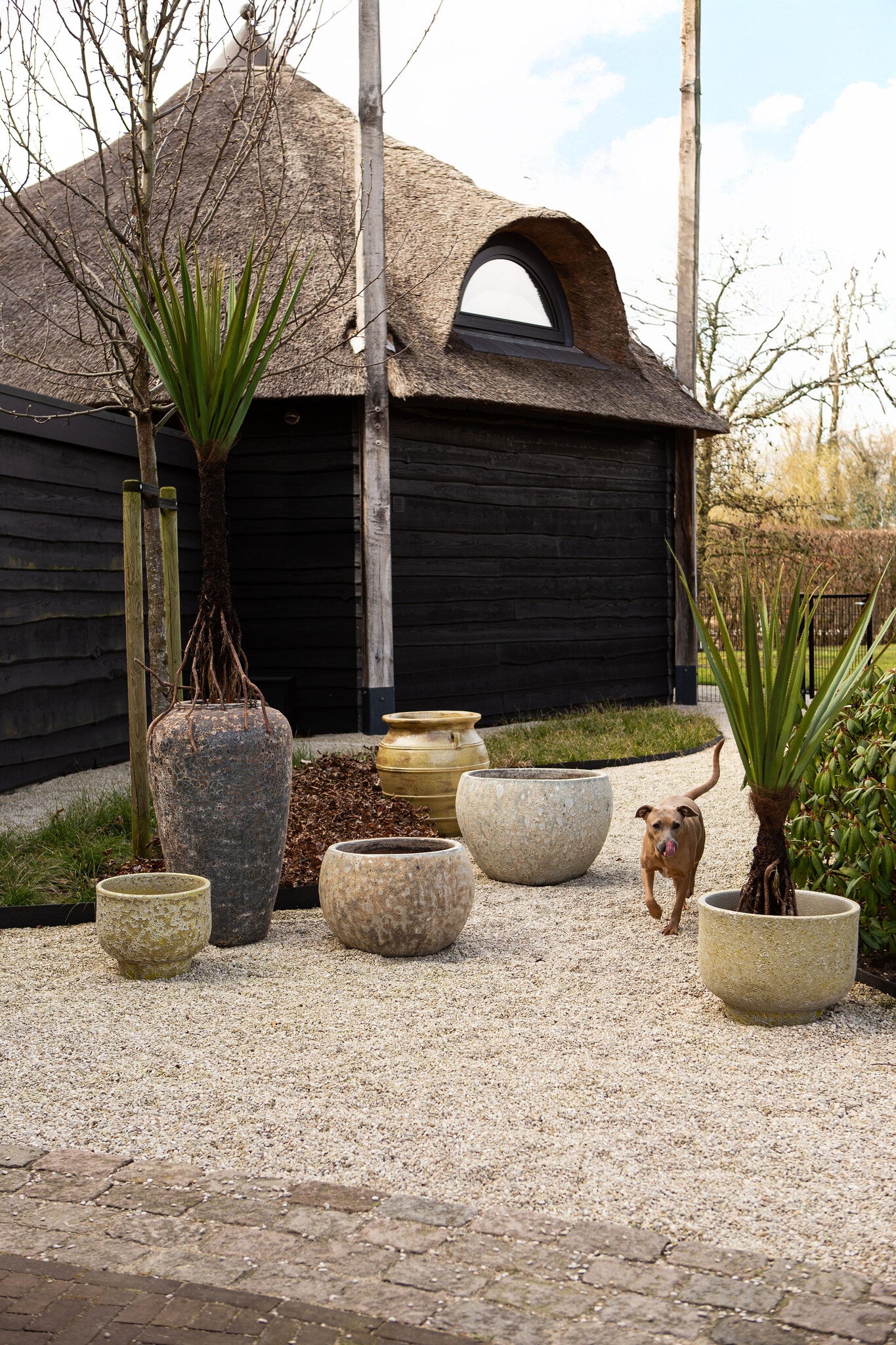 Sanish Pot en céramique - Jaune