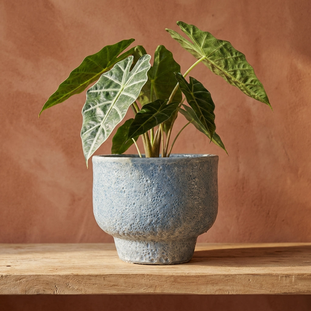 Sanish Pot en céramique - Bleu