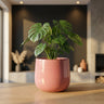 Pot Dairsai — Céramique — Rose