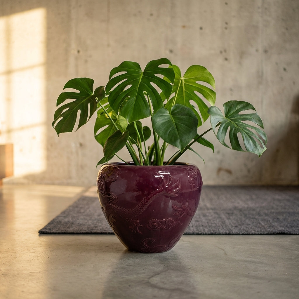 Terron Pot en céramique - Violet