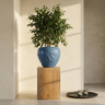 Pot Terron — Céramique — Photo lifestyle