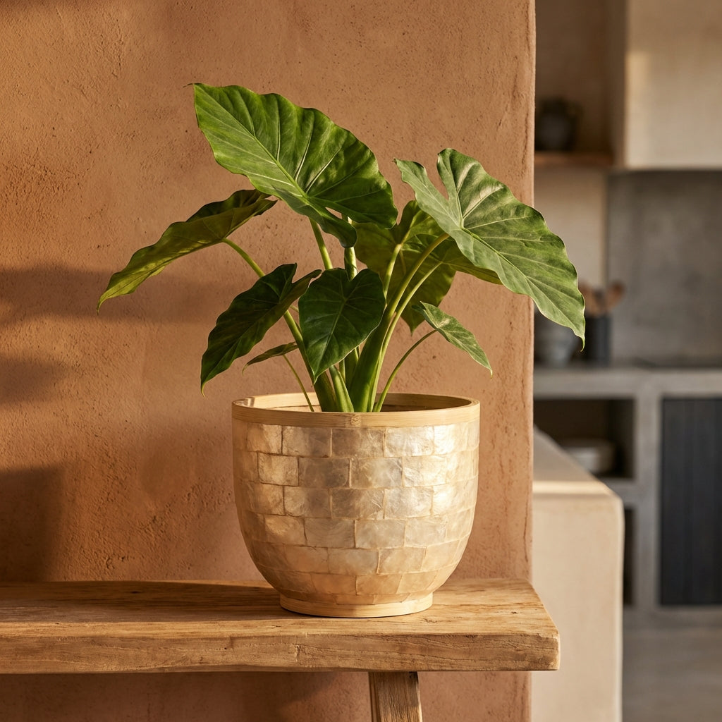 Cherryl Pot en bamboo, Capiz Shell - Default Title