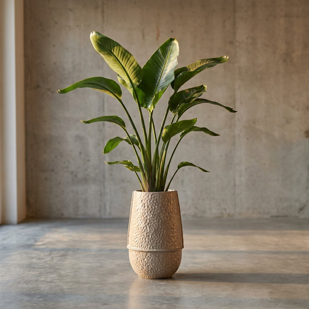Mosa Pot en céramique - M (16x16x30 cm)