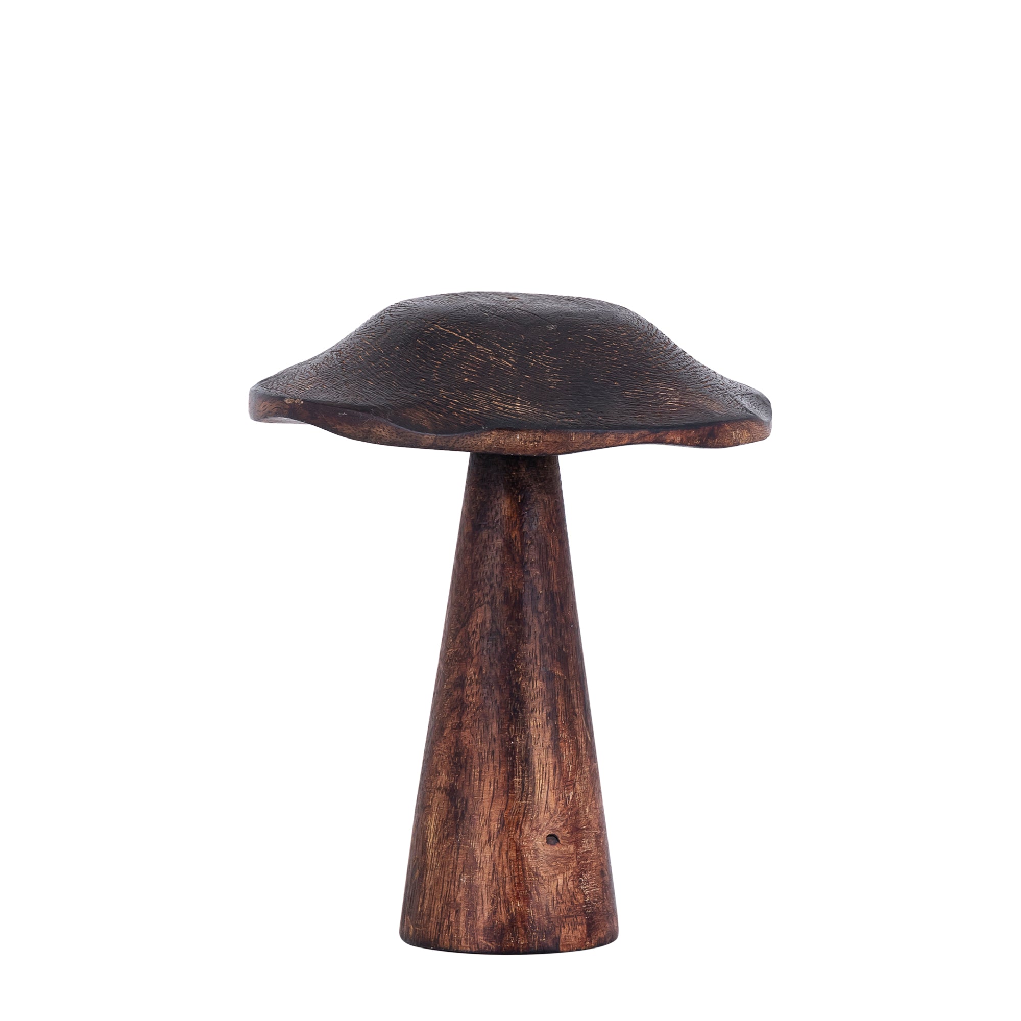 Darlamea Brown burn wood mushroom statue glitter L