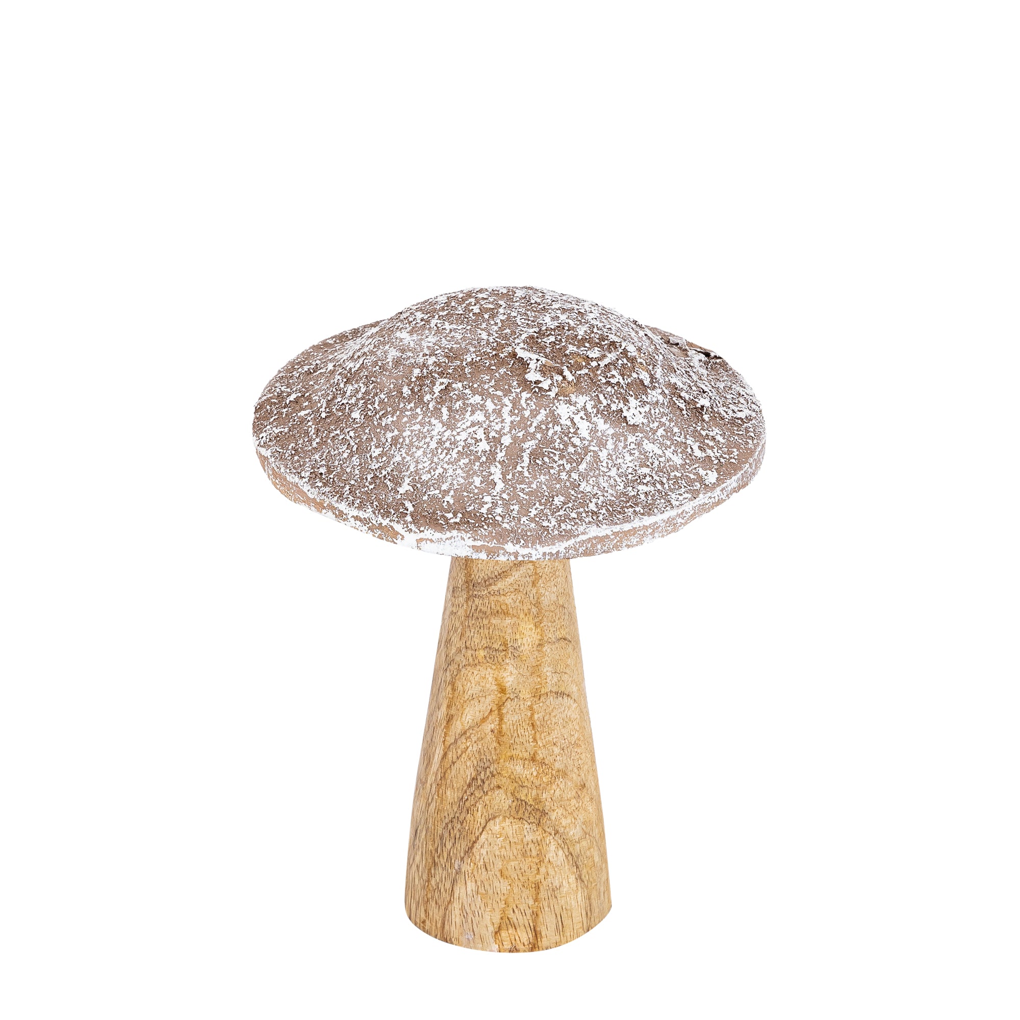 Darlamea Beige burn wood mushroom statue snow L