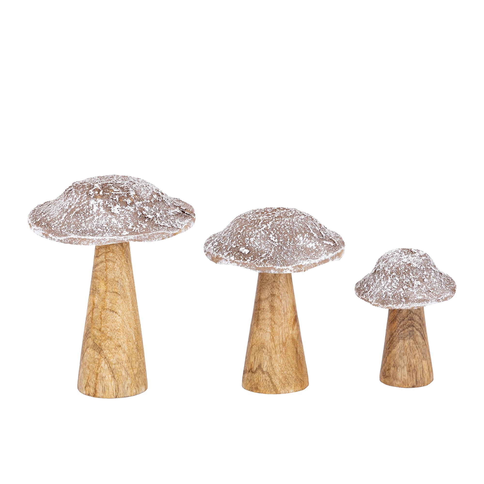Darlamea Beige burn wood mushroom statue snow L