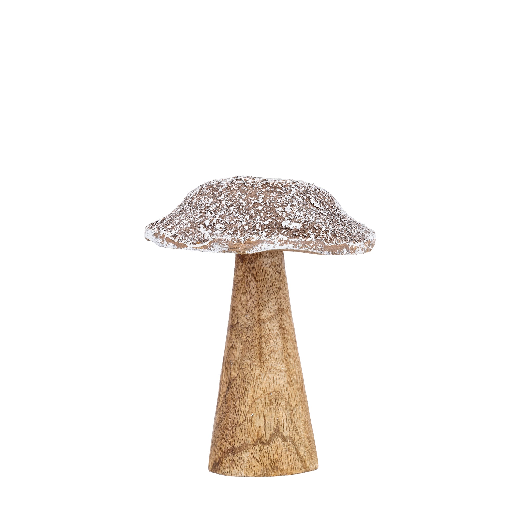 Darlamea Beige burn wood mushroom statue snow M