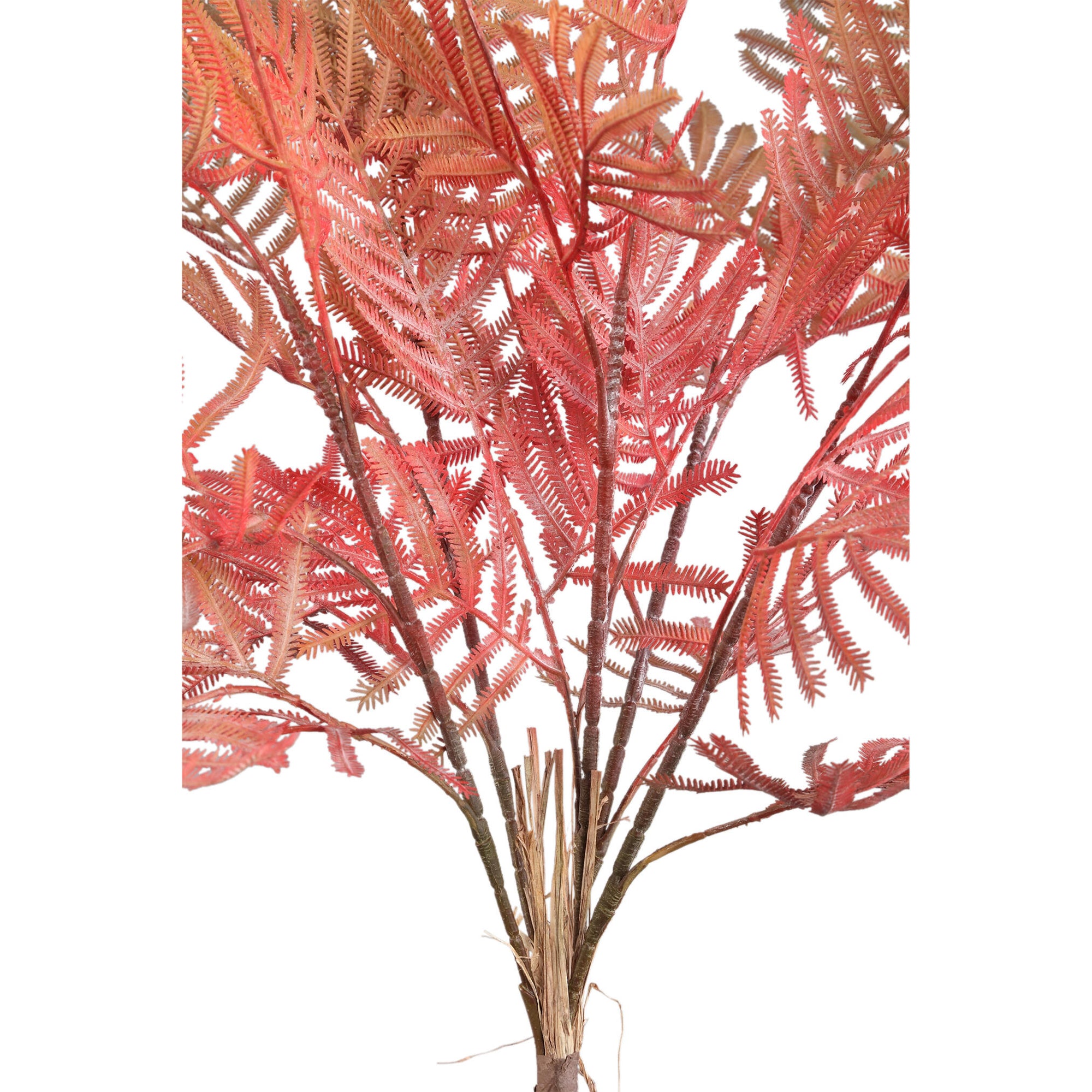 Fern Plant Orange fern bush Bordeaux — Feuille artificielle — vue 2 | Häus