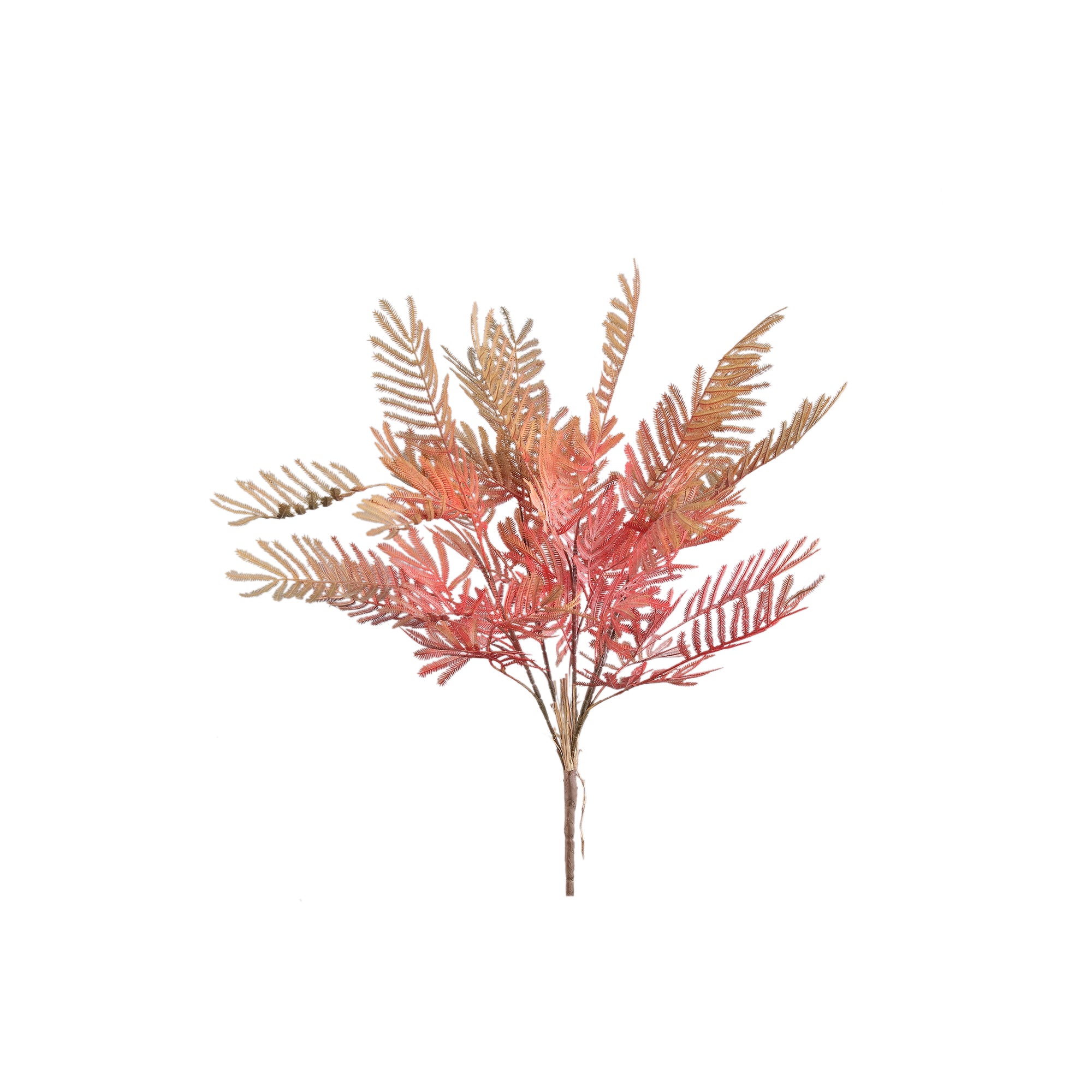 Fern Plant Orange fern bush Bordeaux — Feuille artificielle — Feuille artificielle design premium | Häus