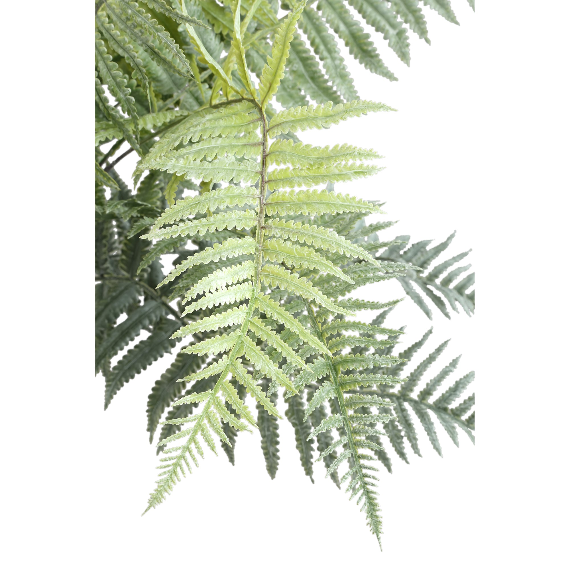 Fern Plant Moss Green fern bush large L Moss Green — Feuille artificielle — vue 2 | Häus