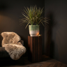 Pot Noé — Ciment — Photo lifestyle
