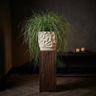 Pot Isabelle — Photo lifestyle