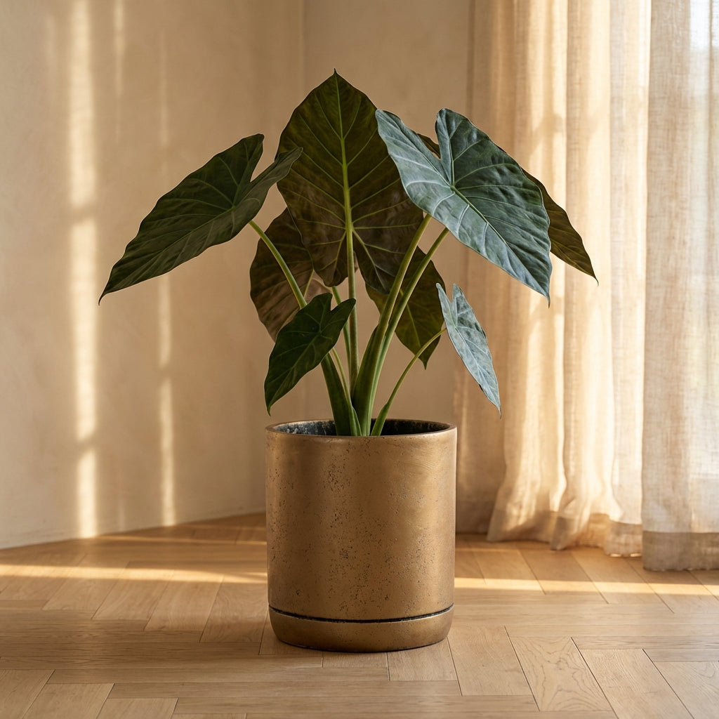 Vik Pot en 