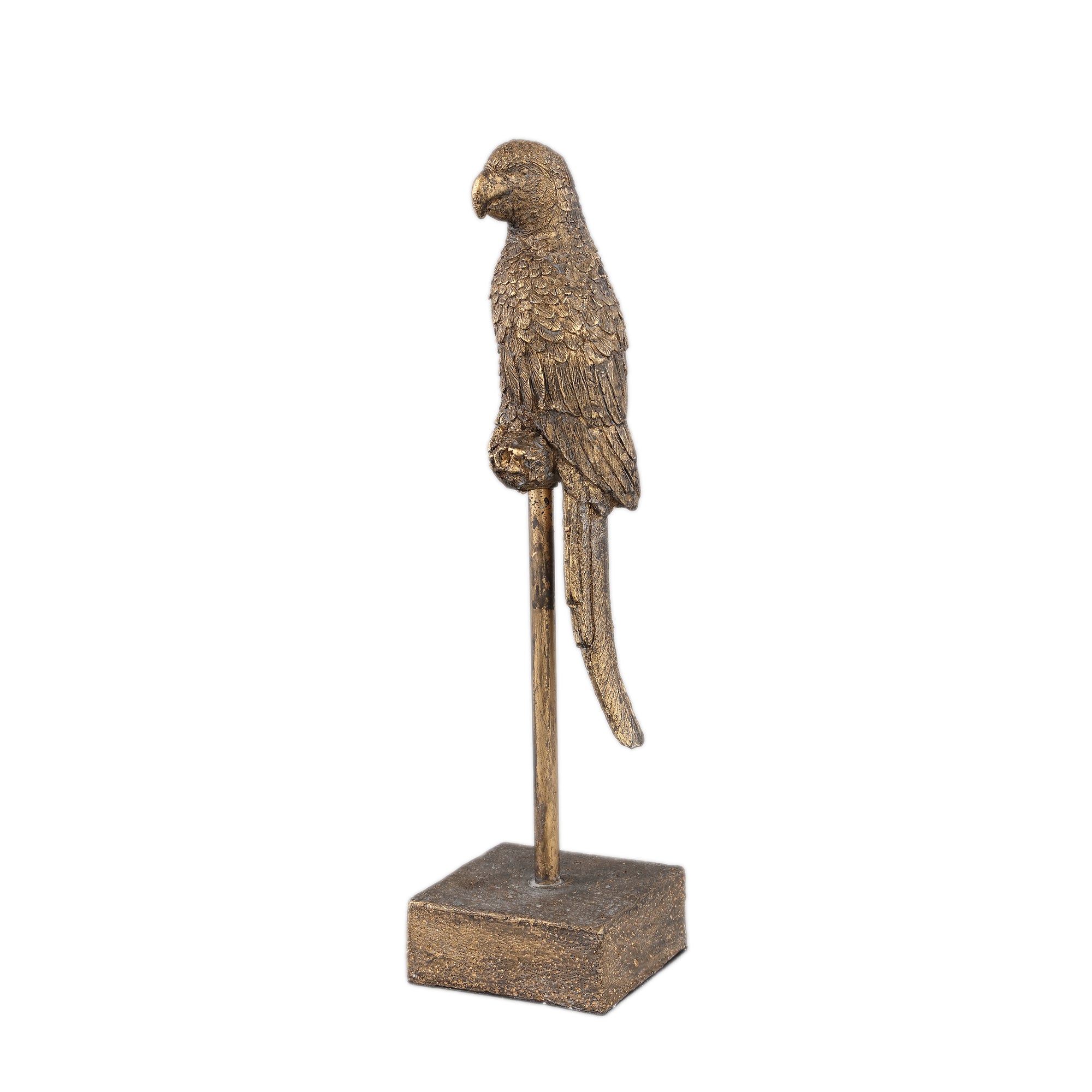 Christianne Gold poly parrot statue on cream base
