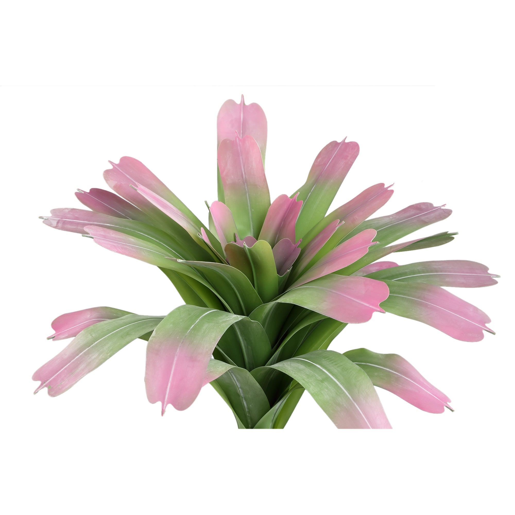 Succulent plant Green ananas comosus pink ends Vert — Plante artificielle — vue 2 | Häus