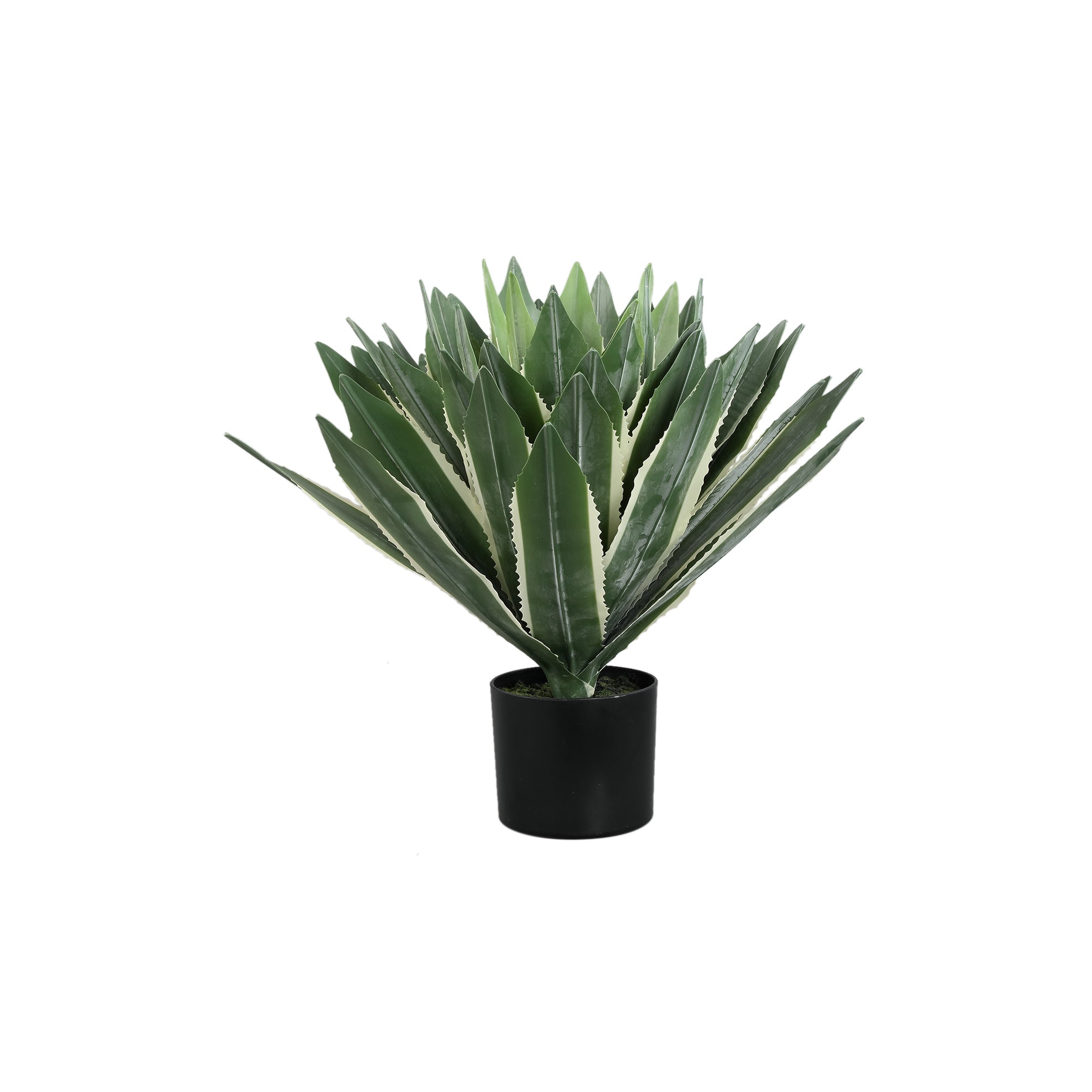 Succulent Plant Green agave pick Vert — Plante artificielle — Plante artificielle design premium | Häus