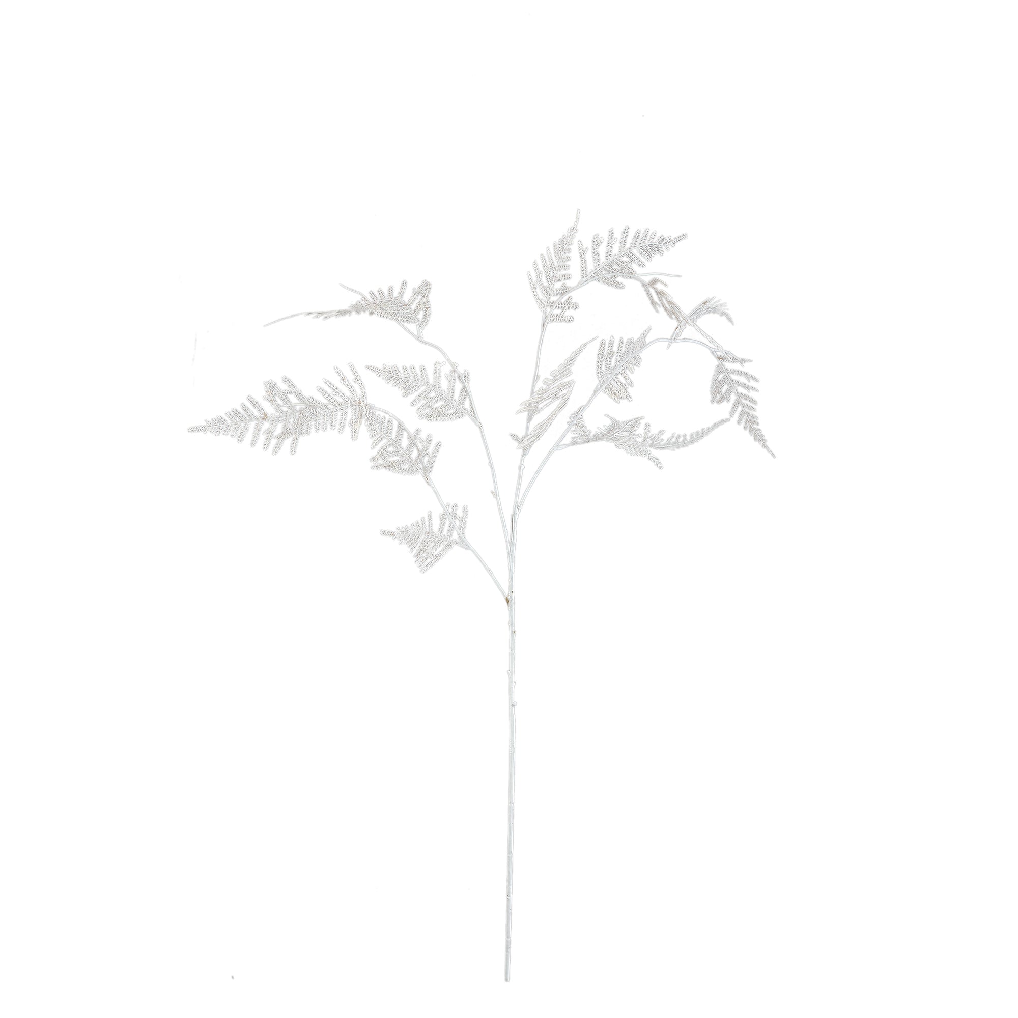 Fern Plant Cream asparagus fern spray Crème — Feuille artificielle — Feuille artificielle design premium | Häus