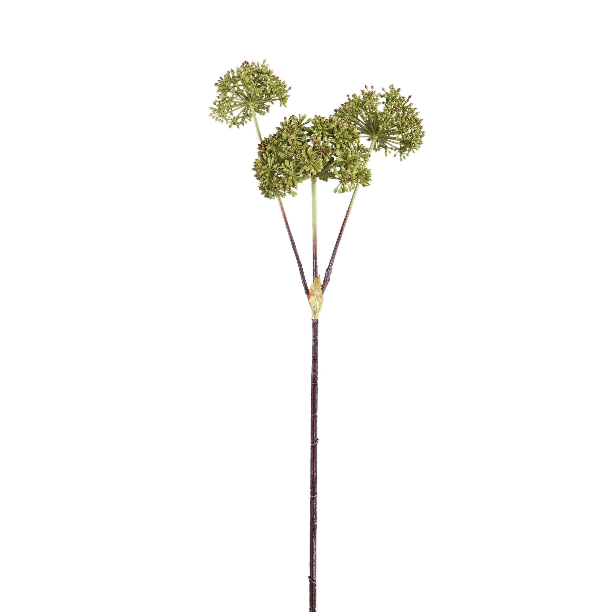 Garden Flower Dark Green Angelica spray Vert foncé — Branche artificielle — Branche artificielle design premium | Häus