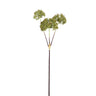 Garden Flower Dark Green Angelica spray Vert foncé — Branche artificielle — Branche artificielle design premium | Häus