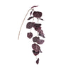 Leaves Plant Purple anthurium hanging spray Violet — Feuille artificielle — Feuille artificielle design premium | Häus
