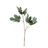 Twig Plant Green fig spray with leaves Vert — Branche artificielle — Branche artificielle design premium | Häus