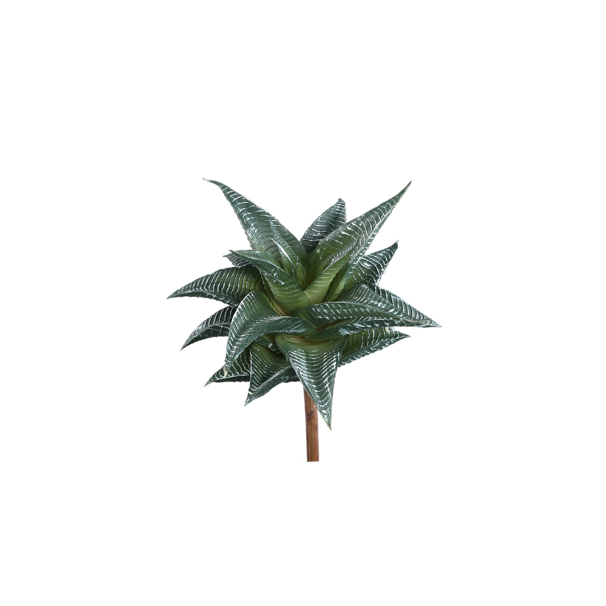 Succulent Plant Green agave pick with lines Vert — Plante artificielle — Plante artificielle design premium | Häus